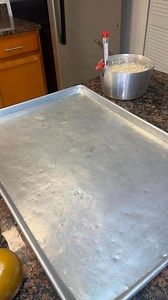 Teddy bear gender reveal | Chris Lema