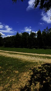 Lightning cut every bush in half at once!! | Exploring Alabama