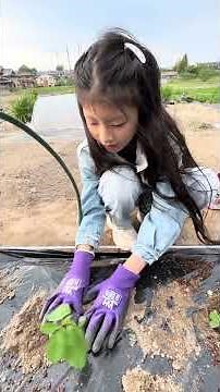【3月に種まきした枝豆、ここまで成長しました🌱】