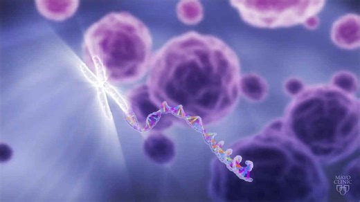 Here's What Nobody Told You About Noah's Ark