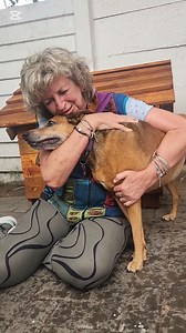 How one should greet your dog when you have been away. My beautiful 😍 Grace and I share a moment. She missed her walks and her cuddles. I missed going to say hello to Sophie. Grace is a rescue dog from the Buckaroo Sterilisation project. She was caught in a snare. She lives her best life with me. She is my dog and I am her human. To donate to this amazing cause, DM me. Help a shelter dog. ♥️ they are amazing Love Marlene | MARLENE NEUMANN FINE ART PHOTOGRAPHY