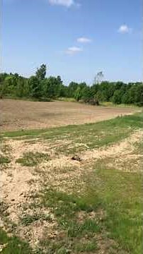 Tilling Sod - Turning Pasture into yard Results