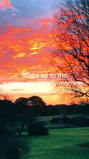 Relaxing Getaway at The Barn and Potting Shed