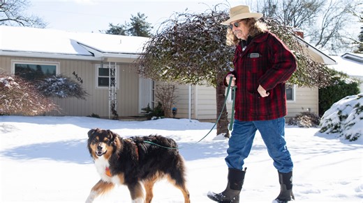 Oregon winter storm: Snow, ice begin to melt as the Willamette Valley thaws out