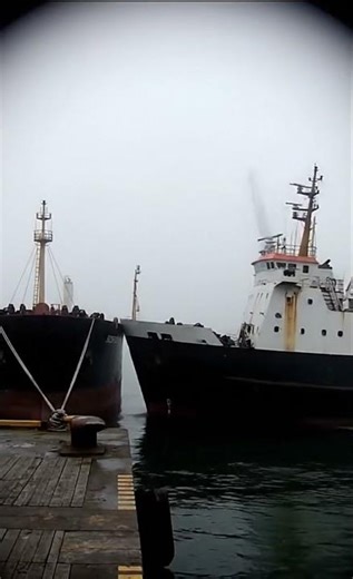 Port Collision The Aftermath! #Emergency