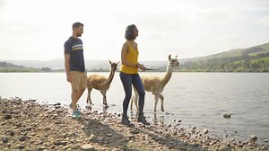 11K views · 129 reactions | There are many different ways to access...