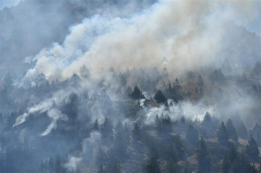 'Very different spot': ODF says 2025 wildfire season has seen much less acreage burned so far, compared to last year