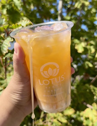 Fall into flavor with our orange-themed Lotus! 🍂🍊 Here's the recipe to get in the autumn spirit: ✨ White Lotus ✨ Sparkling water ✨ Monin Candied Orange Syrup ✨ Lotus Cream Base ✨ Garnish with a slice of orange, cinnamon stick or glitter! A perfect blend of plant power and autumn vibes to keep you cozy and refreshed this season. #LotusPlantPower #LotusEnergyDrinks #FallVibes