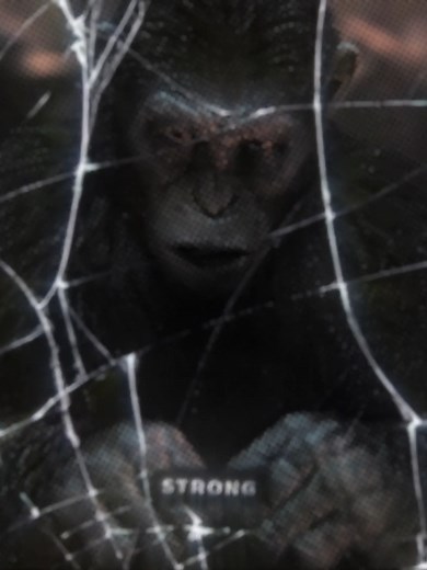 Apes Together Strong: A Creative After Effects Edit