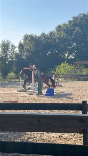 Raw 💕 The hoof beats ;) #equestrian #horses #OP #blowup #fyp #Raw