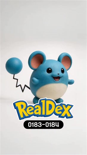 RealDex on Instagram: "🔥 Realistic Pokémon Evolution Series What if Pokémon existed in the real world? (0298 Azurill ) 0183 Marill 0184 Azumarill ”Created from scratch with AI tools by me“ ⚡️ Who’s your favorite Pokémon? 🔁 Save & share if you’ve ever imagined this. #Pokemon #RealisticPokemon #PokemonEvolution #3DAnimation #Pikachu #Eevee #ポケモン #FanArt"