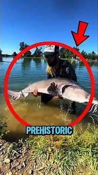 Top 5 Oldest Prehistoric Animals Still Alive Today… And The Last One Will Shock You!