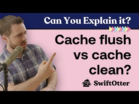 Cache flush vs cache clean? | Can You Explain It? Knowledge Bite