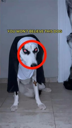Do These Creepiest Dogs Really Exist?