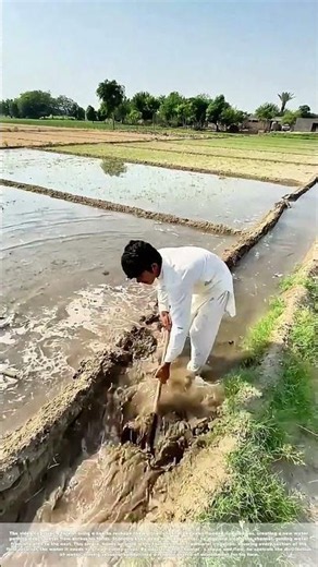 Diverting the Flow: Re-Shaping Field Channels to Irrigate Crops