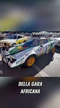 Lancia Stratos: the dominance continues in 1976