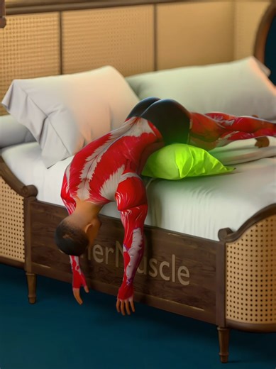 This simple bed position creates spinal traction, stretches deep hip muscles, and reduces tension on the sciatic nerve. Let gravity do the work. #synermuscle #backpainrelief #Sciatica #mobility #recovery