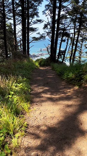 Indian Beach Trail via Ecola State Park #hike #oregon #pnw #alltrails #statepark #ecolastatepark #indianbeach #oregoncoast #pacificcresttrail #explore #pacificocean