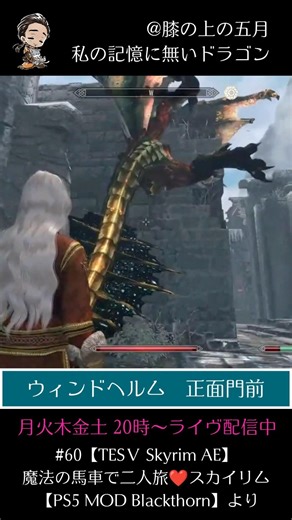 私の記憶に無いドラゴン #60最終回【TESⅤ Skyrim AE】魔法の馬車で二人旅❤️スカイリム 【PS5 MOD Blackthornより #skyrim #ゲーム実況