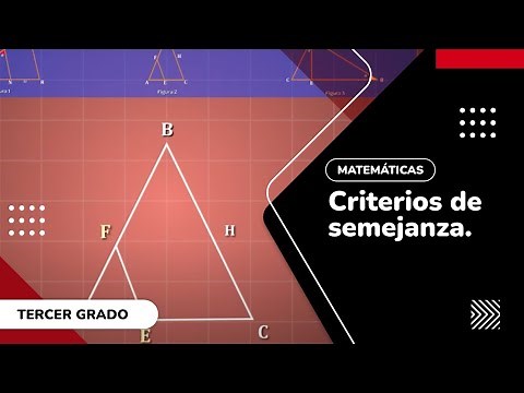 21. Criterios de semejanza.