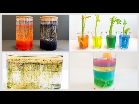 STEAM Activity, STEM Activity, Amazing Colorful Experiments