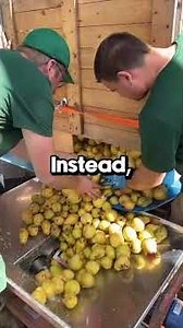 My parents gave my brother the cafe I built because "he has kids"...