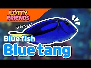 Blue tang🐟 | Kids Songs & Nursery Rhymes | For Kids | Sea Animal Song
