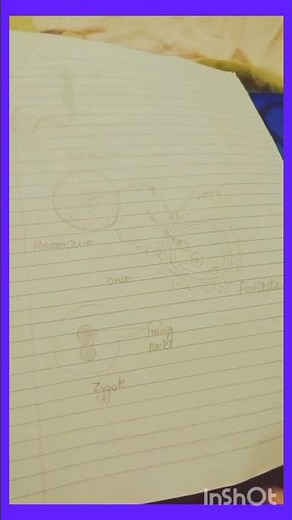 Reproduction in animals class 8th science all diagram