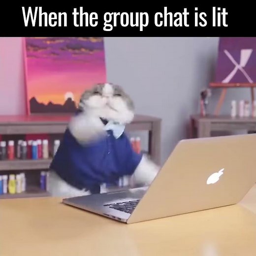 FUNNY CAT WITH AMAZING TYPING SKILL......."MUST WATCH" ..IT'S AMAZING 🔥👌 Aaron's Animals