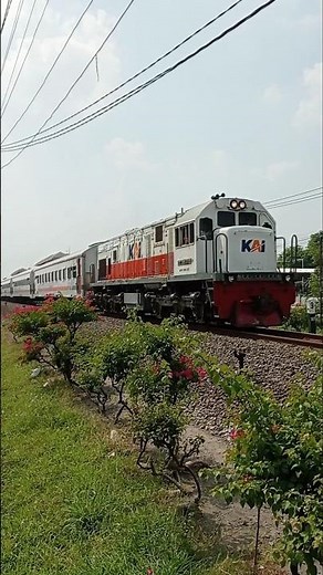 Beautiful Trackside View & Fast Passenger Train Passing! #trainspotting #train #lokomotif
