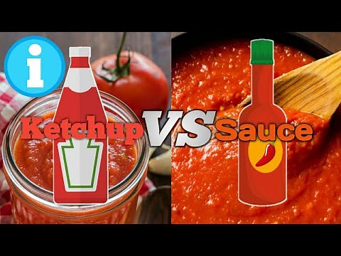 Ketchup VS Sauce - Difference between Ketchup and Sauce.