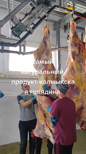 Meat Processing Facility Operations Explained