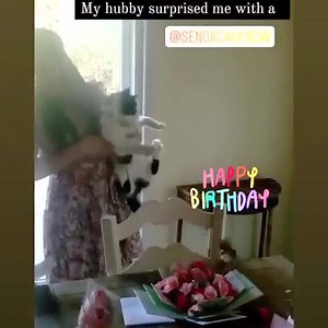 🤣 Enjoy Send A Cake's funniest moments! Send a surprise gift that will make them smile. Perfect for Birthdays, Anniversaries, or any Special Occasion. | Sendacake