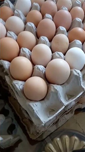 Naik level #moments #shorts #buruhindonesia