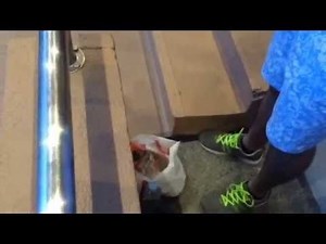 IESU, PANIS VITAE Papal Visit 2015