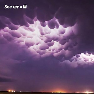 These weird clouds look like cow udders. Here's how they form. | Seeker Media