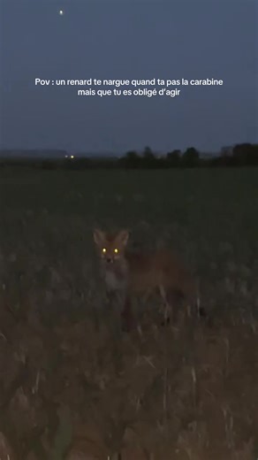 Valentin_chasse sur TikTok