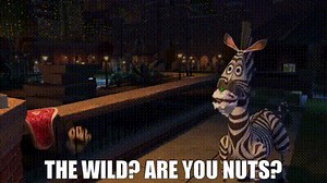 The wild? Are you nuts?