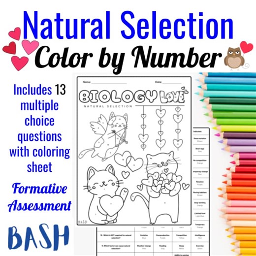 Natural Selection Color by Number Valentine’s Day Edition Biology | 9th Grade