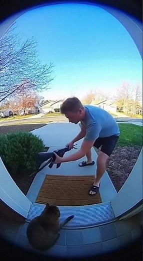 Cat Operating a Machine Gun #FunnyCat #ViralVideo