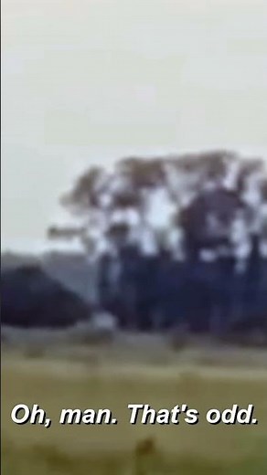 Shapeshifting Creature CAUGHT On Camera | Paranormal Caught on Camera | Travel Channel