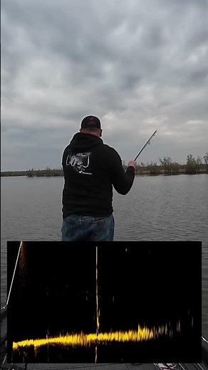 Catching A Crappie With Lowrance ACTIVE TARGET 2!