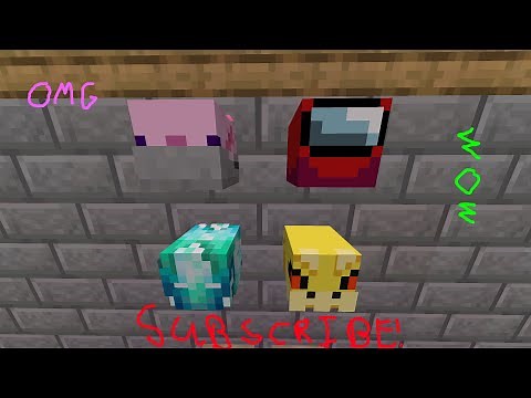 [PATCHED] How to Get Any Player Head in Hypixel Housing!
