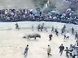 Bull charges at and kills its owner at a Chinese folk festival