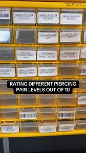 51K views · 311 reactions | Rating different piercings & their pain out of 10, does this match yours? 﫢 • All body jewellery is available at viciouspunx.com • • #piercings #behindthescenes #bodyjewelry | Vicious Punx | Facebook