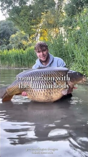 dont click the sound💀 #worldfacts #animal #creepy #shorts