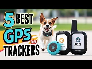 Top 5 GPS Pet Trackers of 2025 Reviewed | Review Realm