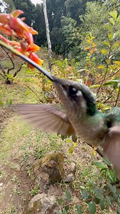 802K views · 38K reactions | Turn the sound on and listen to the...