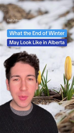 Woah 🤯 🎙️ @worldvishawn #calgary #edmonton #yyc #alberta #calgaryyyc | alberta