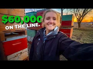 We Risked Everything to Get 200 Hives to California — Did It Work? #beekeeping